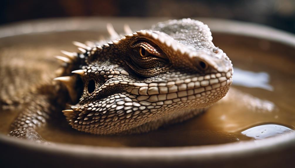 bearded dragon bath time