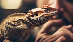 bearded dragon bonding tips