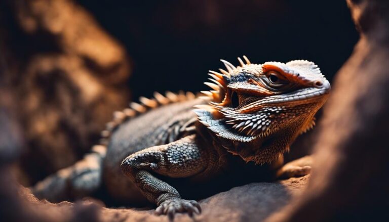 bearded dragon brumation guide