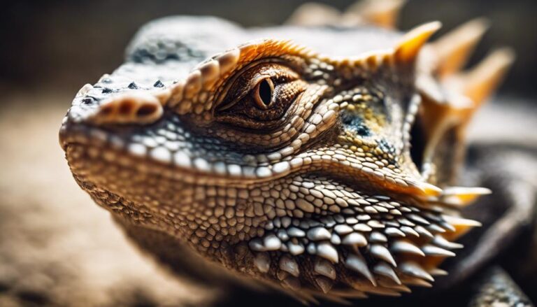 bearded dragon dental care