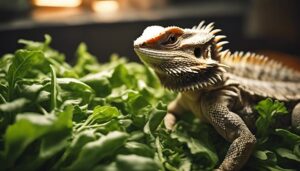 bearded dragons and arugula