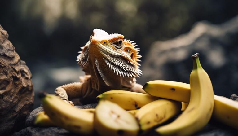 bearded dragons and bananas