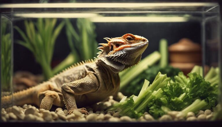 bearded dragons and celery