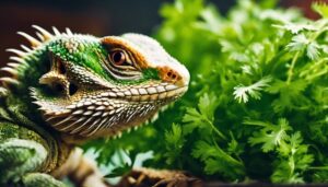 bearded dragons and cilantro
