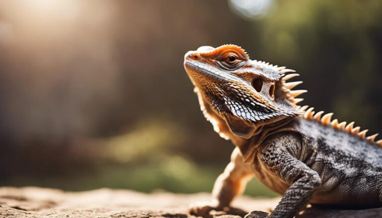 bearded dragons and dogs