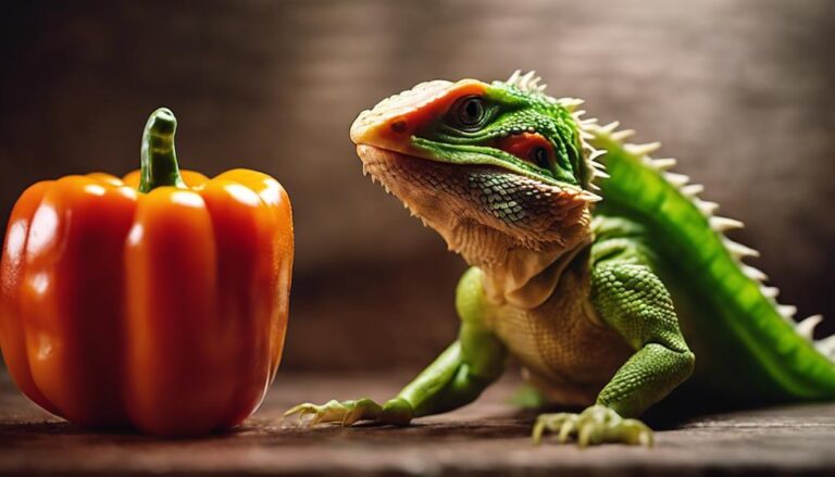 bearded dragons and peppers