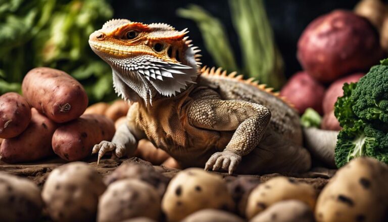 bearded dragons and potatoes