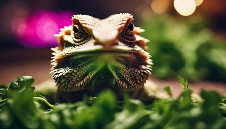 bearded dragons and radish