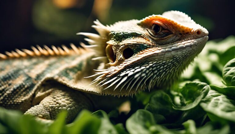 bearded dragons and spinach