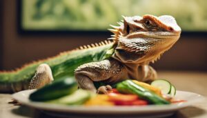 bearded dragons and zucchini