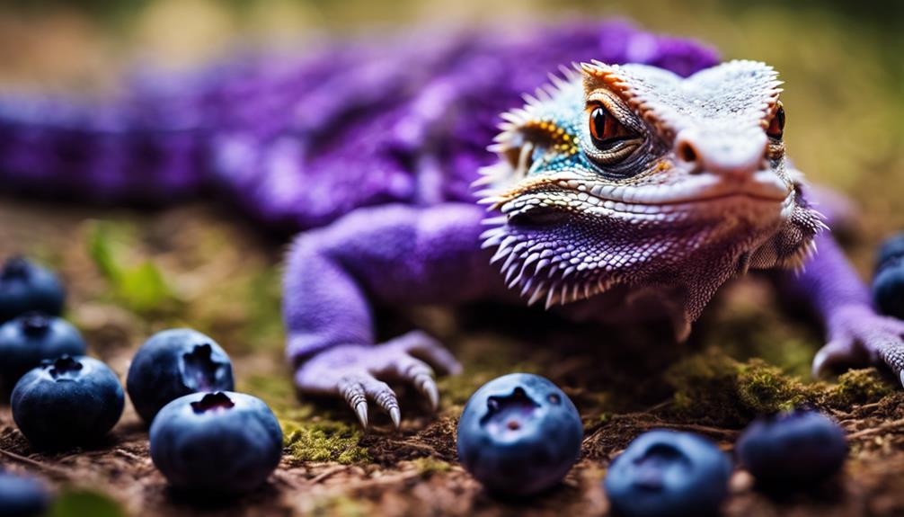 feeding blueberries to dragons