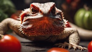 feeding tomatoes to dragons