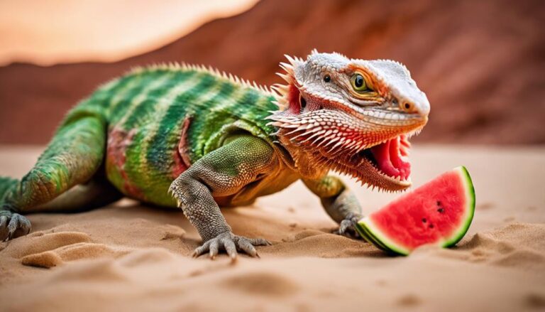 feeding watermelon to dragons