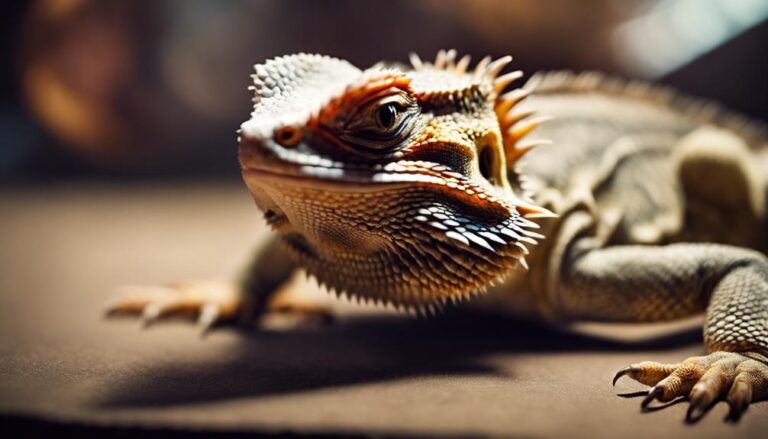 health risks in reptiles