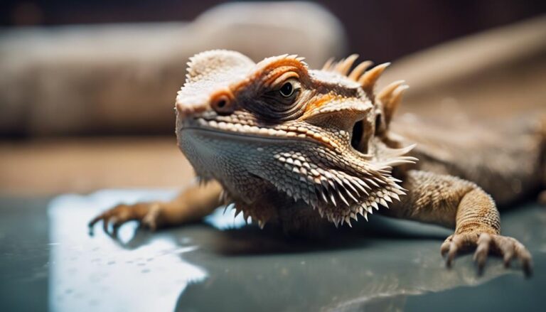 preventing odor in reptile tank