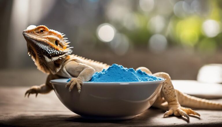 reptile care essentials explained