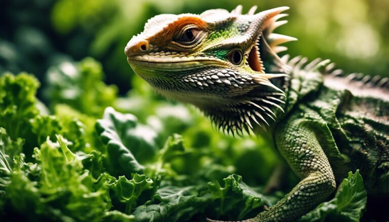 safe for bearded dragons