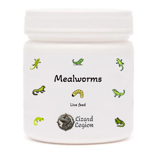 Mealworms