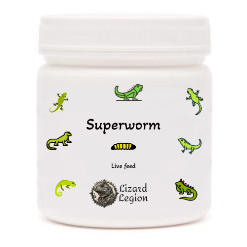 Superworms