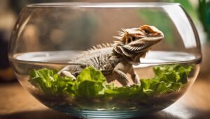 bearded dragon not drinking
