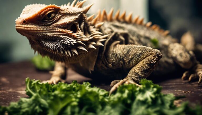 signs of malnourished bearded dragon