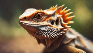 bearded dragon color morphs