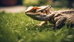 bearded dragon grass diet