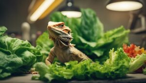 bearded dragons and lettuce
